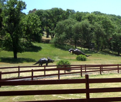 dinos grazing annenahm