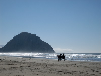 horses on the ocean horses on the ocean