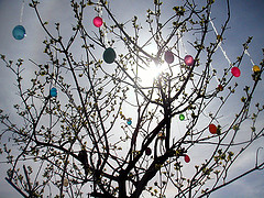egg tree 