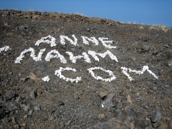 anne nahm